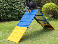 Agility Professional A-Wall (3 parts)